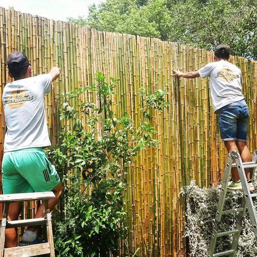Cercos 2 Mts Alto X 1 De Ancho! Tacuara Pérgolas Verde Claro