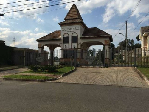 Imagem 1 de 30 de Excelente Terreno São Braz - Te-0448 - 3295582