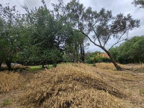 Venta Lote Terreno 1500 M² Ideal Housing - Villa Rivera Indarte