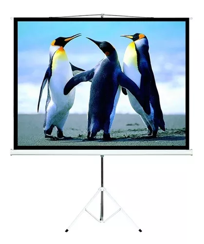 Pantalla Proyector Con Tripode 100 Pulgadas Intelaid Tps100