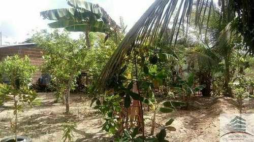 Imagem 5 de 7 de Granja A Venda Em Macaíba
