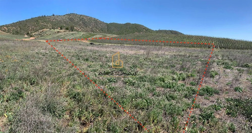 Parcela 5000 Mt2, Parcelacion Atalaya, Casablanca