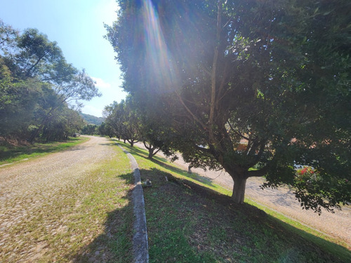 Venta De Lote San Diego 8 Sobre Boulevard Muy Cerca De Las Amenidades Y Del Hotel Del Fracc Rancho San Diego Ixtapan De La Sal Edomex. Se Incluye Proyecto
