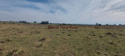 Imagen 7 de 23 de Venta De Chacra 19 Has En San Carlos, Maldonado