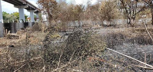 Imagen 10 de 13 de Terreno Av. Intercomunal Guarenas-guatire