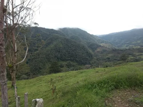 Lote En Venta En Yarumal