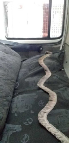 Ford Cargo Manual