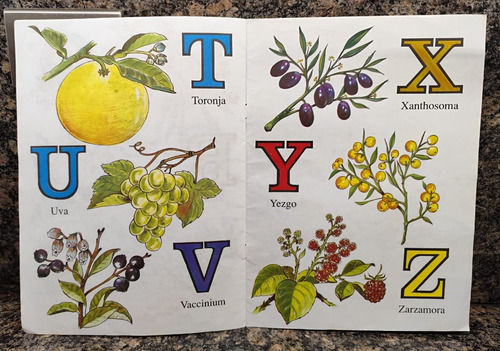 Cartilla Abc De Los Frutos Para Niños (Usado)