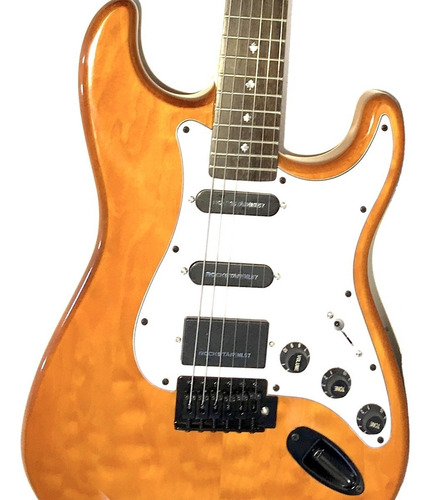 Guitarra Eléctrica De Estudio