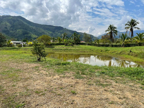 Imagen 21 de 30 de Espectacular Finca Clima Caliente En Venta Porce