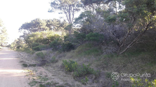 Terreno En Venta - Chihuahua