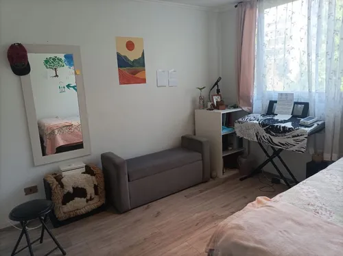 Departamento Remodelado En Suecia A Pasos De Pocuro