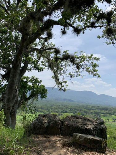Rancho En Venta La Concepción Ver, 15 Mins De Xalapa Ver.
