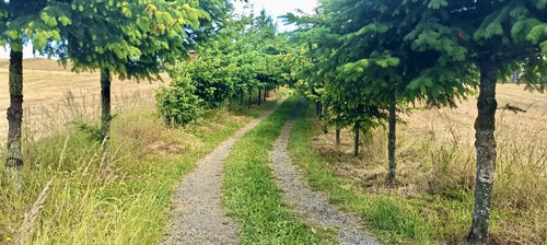 Sitio Con Casa A 8km De Cuidad Nva Imperial, 30.000 M2