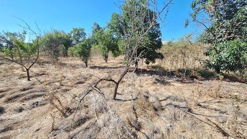 Parcela En Venta En Eliodoro Yañez, Lo Herrera
