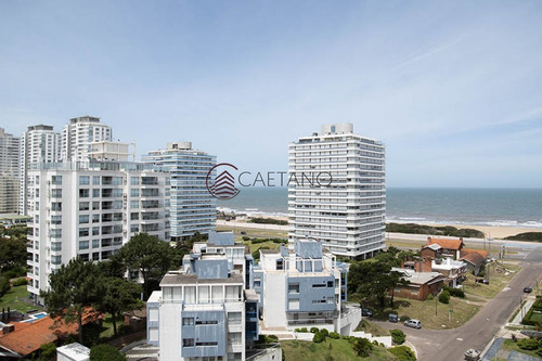 Imagen 7 de 18 de Torre Wild Punta Del Este - Punta Del Este Brava