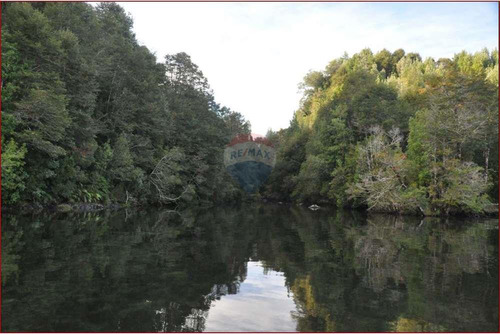 Paraíso: Predio Y/o Bosque Con Dos Islas Privadas