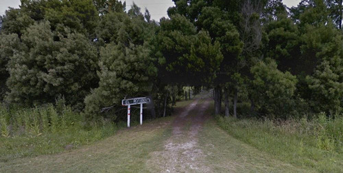 Imagen 5 de 30 de Campo En Venta En Bavio | Ruta 11 E/el Pino Y Km.42 (bavio) 19 Has