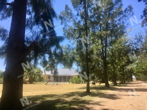 Imagen 1 de 22 de Venta Chacra En Maldonado - San Carlos Camino De Los Ceibos