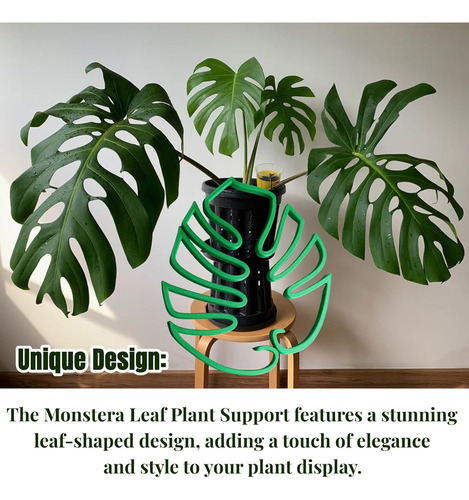 Soporte Para Plantas De Hojas De Monstera, Soporte Para Plan
