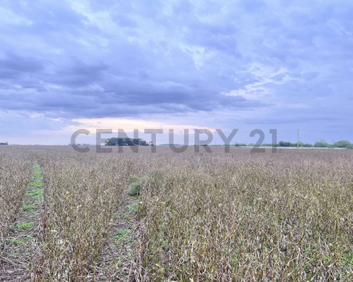 Venta Campo De 127 Ha, Clason, Santa Fe