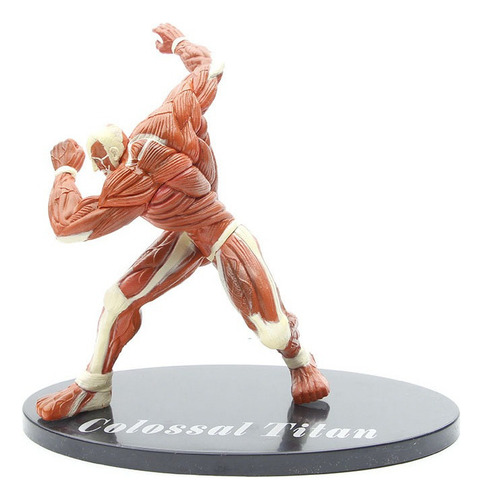 ( Attack On Titan O Titã Colossal Modelo Figura Brinquedo
