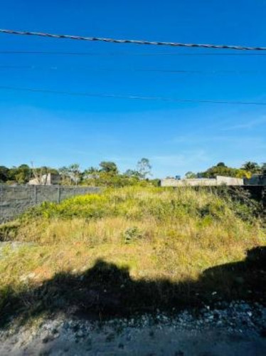 Imagem 2 de 4 de Terreno No Bairro Palmeiras, Em Itanhaém=referência: 8472