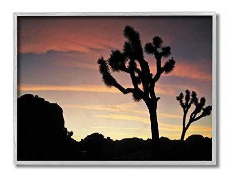 Stupell Industries Desert Tree Sunset Silueta Fotografía Gri