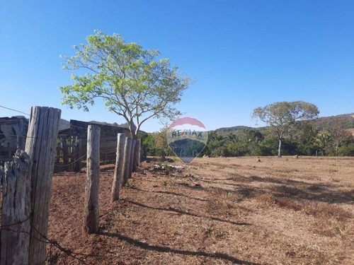 Imagem 13 de 18 de Fazenda Á Venda - Alto Boa Vista - Fa0005