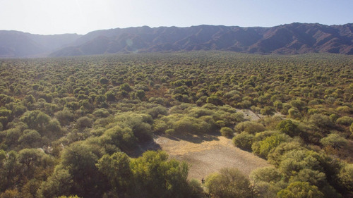 Imagen 4 de 18 de Venta De Campos En Córdoba Chancaní Campo Ganadero