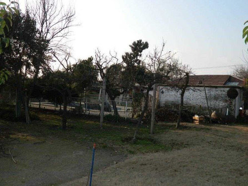 Imagen 15 de 16 de Gran Terreno En Arriendo