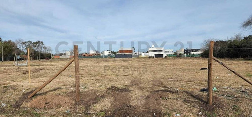 Imagen 5 de 7 de 133 Y 508 Loteo. Nuevo Emprendimiento En José Hernández.