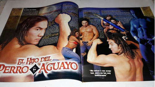 Revista Guerreros Del Ring #12 El Hijo Del Perro Aguayo.