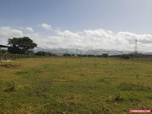 Imagen 3 de 6 de Terrenos En Venta Santa Cruz De Aragua 0412-8887550