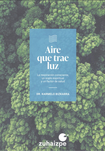 Aire Que Trae Luz - Bizkarra Maiztegi Karmelo