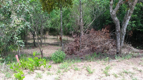 Imagem 4 de 4 de Terreno Para Venda No Estância Santa Rita Em Jarinu - Sp - 107