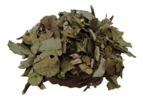Chá Verde Nacional Banchá Folhas Wenutri 1kg