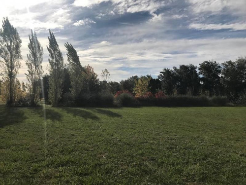 Imagen 9 de 10 de Pintoresca Chacra En Venta En Loma Escondida - Open Door - Mallmann Propiedades