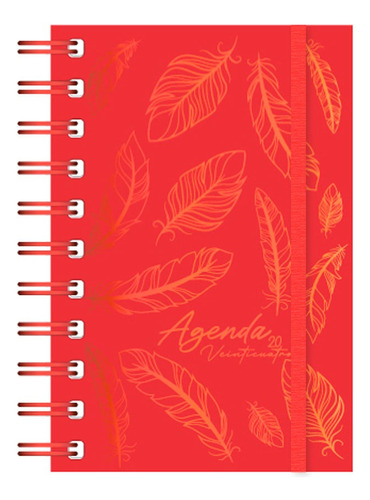 Agenda 10x15 Otoño 352 Paginas Espiral Niños Ag24c009