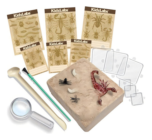 Juego De Experimento Excavación De Insectos Para Niños