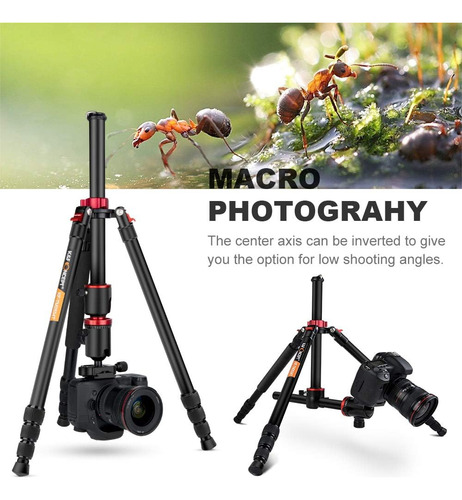 Tripode Para Camara Dslr Universal / Negro | K&f Concept