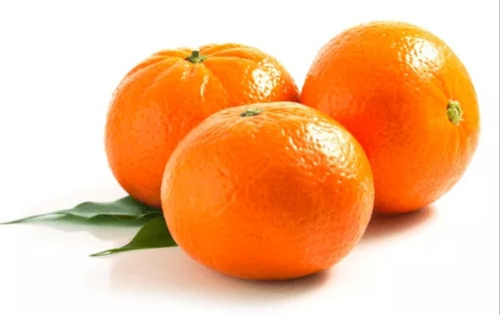 Mandarina Mandarino Árbol Frutal Injertado