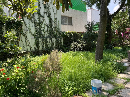 Imagen 2 de 10 de Excelente Terreno En Las Águilas