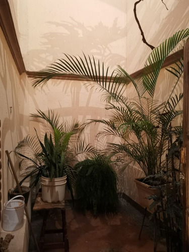 Imagen 6 de 23 de Casa Venta Fracc Baca $2,500,000 Chaern Cons2