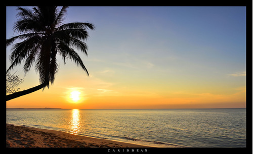 Poster De Una Playa Del  Mar Caribe