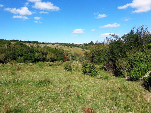 17 Has, Vistas Serranas, Monte Nativo, Arroyo Y A 1 Hora De Mdeo...- Ref: 26461