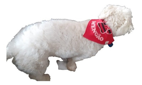Imagem 6 de 7 de Bandana Para Cachorro Flamengo