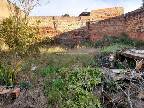Imagem 4 de 15 de Terreno - Sao Luis - Ref: 50671 - V-50671
