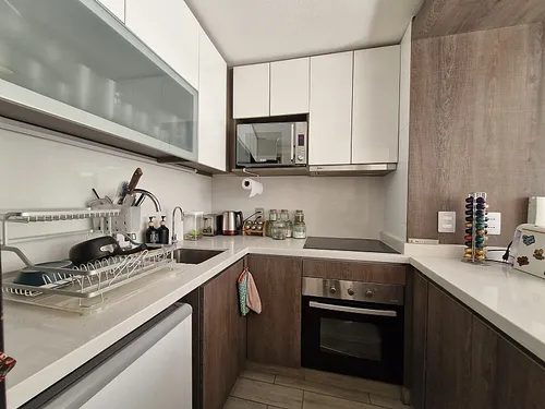 Espectacular Departamento Dario Urzua Providencia