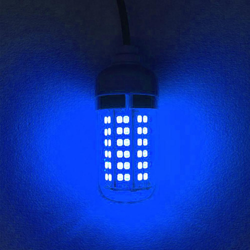 . Lámpara De Luz Subacuática Led Impermeable 12v Para Peces
